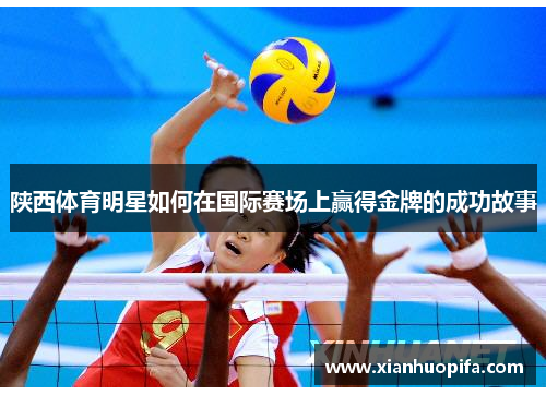 陕西体育明星如何在国际赛场上赢得金牌的成功故事